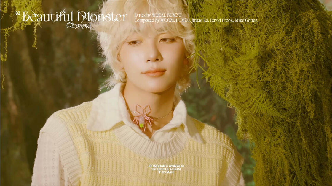 BEAUTIFUL MONSTER- JEONGHAN
